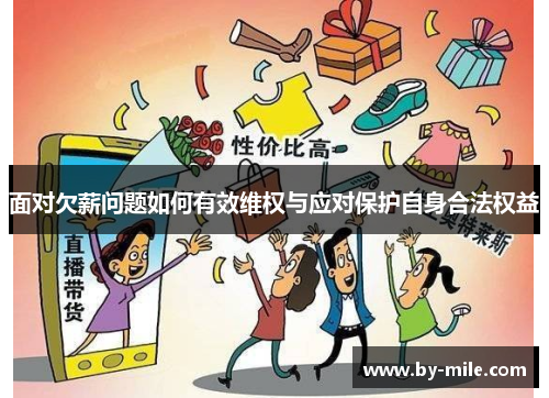 面对欠薪问题如何有效维权与应对保护自身合法权益